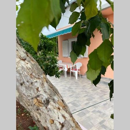 Manuel Apartman Korčula Kültér fotó