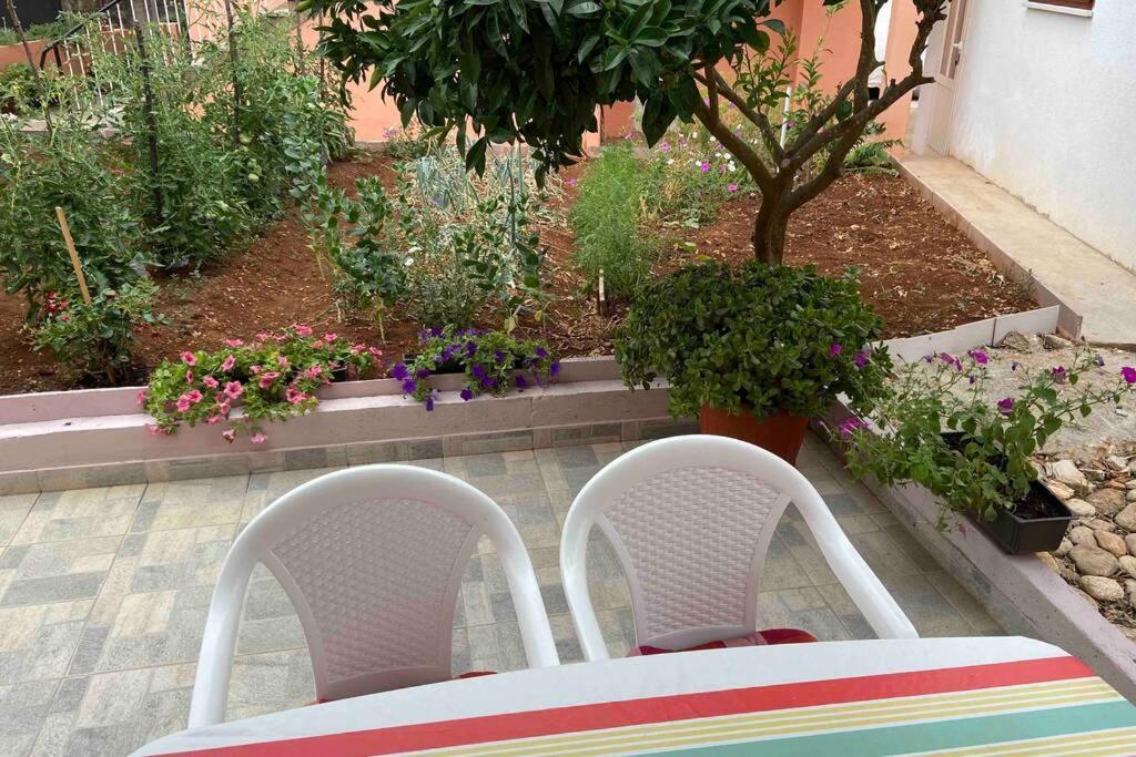 Manuel Apartman Korčula Kültér fotó