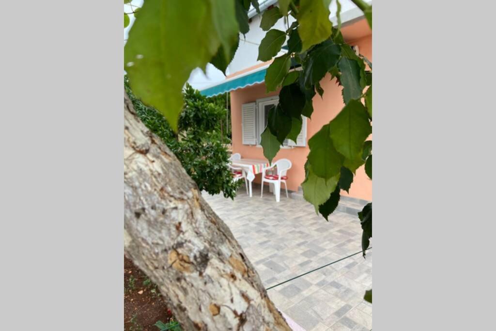 Manuel Apartman Korčula Kültér fotó